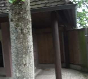 Friedhof Wittlensweiler