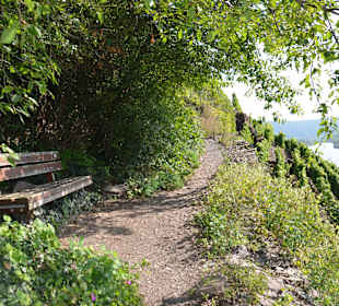 Wandern Cochem