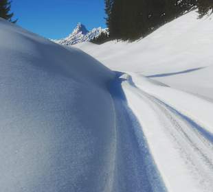 Wandern Bartholomäberg