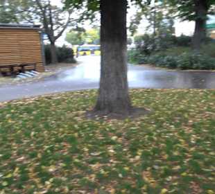 Kleiner Tiergarten