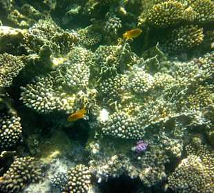 Riffdach von der Luftmatratze aus