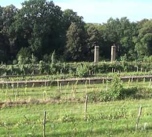Schlosspark - Belvedere auf dem Klausberg