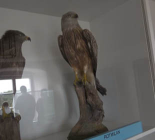 Museum Rosenburg