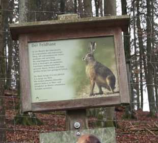 Wildpark Eichert