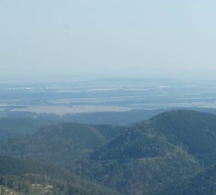 Ausblick vom Aussichtsturm Inselsberg