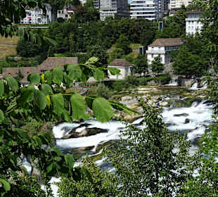  Blick auf den Rheinfall