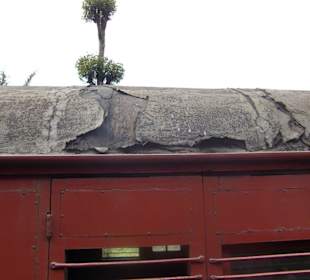 Ist eben 100 Jahre alt