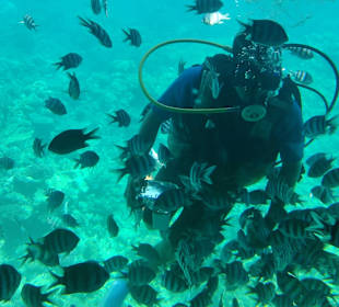 Glasbodenboot Tour Hurghada