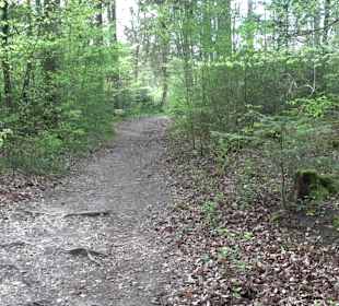 Walderlebnisweg Rottenburg