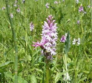 Wandern Oberwiesenthal