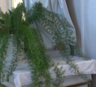 Klosterkirche St. Peter + Paul Oberelchingen