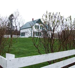 Green Gables