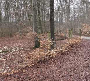 Wildpark Eichert