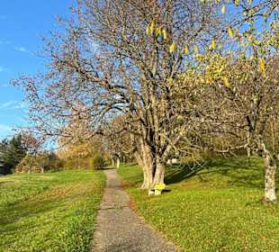 Wandern Läufelfingen