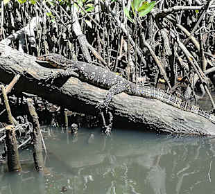 Tour mit “Lucky“