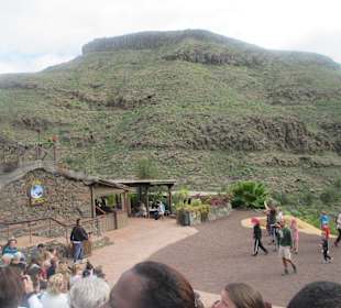 Palmitos Park