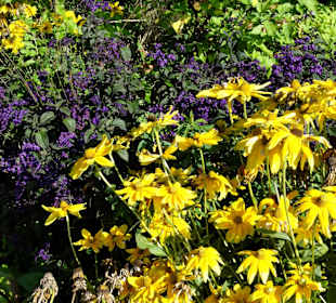 Impressionen aus dem Stadtgarten Vegesack