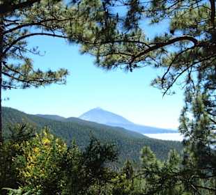 Gebigskamm im Zentrum der Insel