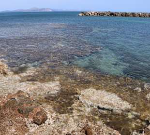 Colonia de Sant Pere