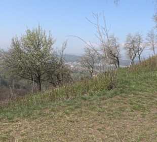 Wanderung Florianrunde