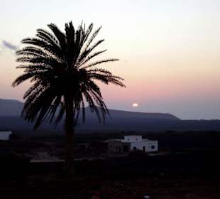 Tamanfaya