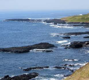 Westküste - bei The Nobbies