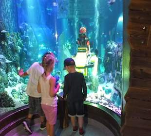 Aguarium legoland