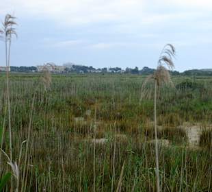 Blick auf Hotel Playa Esperanza