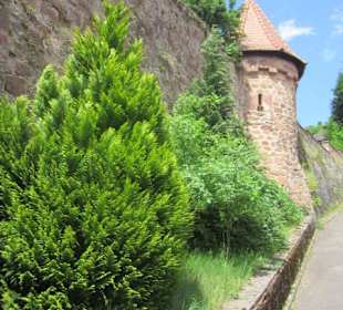 Wehrkirche St. Martin