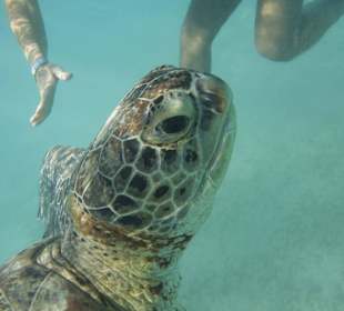 House Reef very close to our hotel (5 Minutes Walk