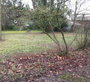 Alter Friedhof Pliezhausen