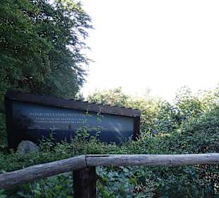 Widok na Morze bałtyckie z Kawczej Góry