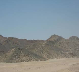 Safaritour(quadttour)