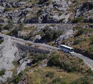 Die "Touristen" kommen...