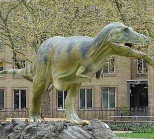 Naturkundemuseum Senckenberg