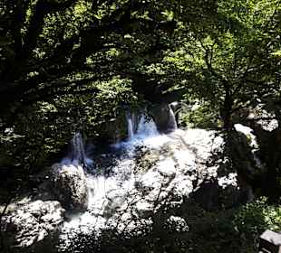 Wandern Tiflis / Tbilisi