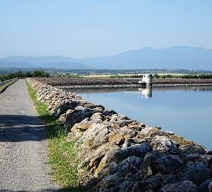 Am Damm des Lac de Villeneuve-de-la-Raho