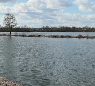 Spaziergang rund um den Baggersee