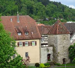 Walterichskirche Murrhardt Ausblick