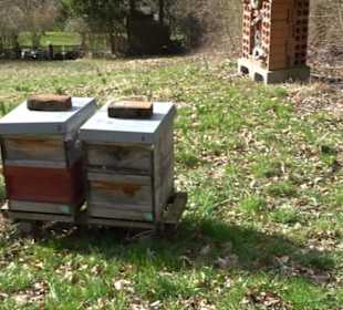 Bienenlehrpfad