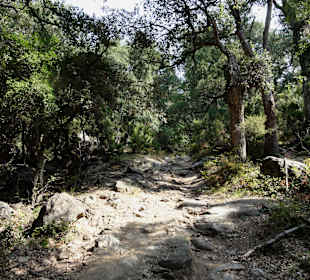Wanderweg zum Tour de la Massane