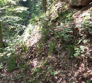 Griesbacher Wasserfälle Bad Griesbach