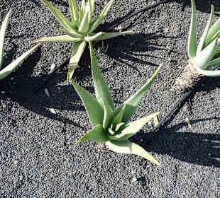 Fahrt von Ost über Nord nach West