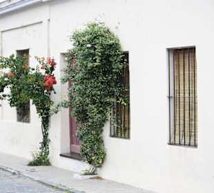 Haus in der Altstadt