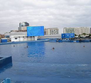 Aquarium / Oceanongrafic