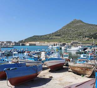 Im Hafen von Favignana
