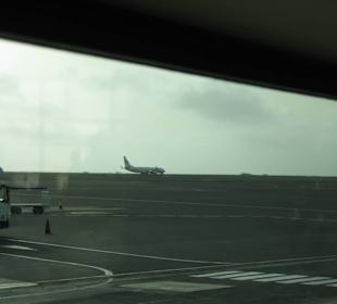 Samolot z Polski wylądował