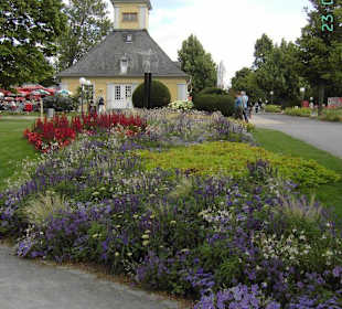 Blumenausblicke
