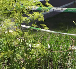 Botanischer Garten der Universität Zürich