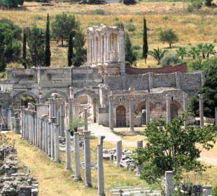 Celsus Bibliothek